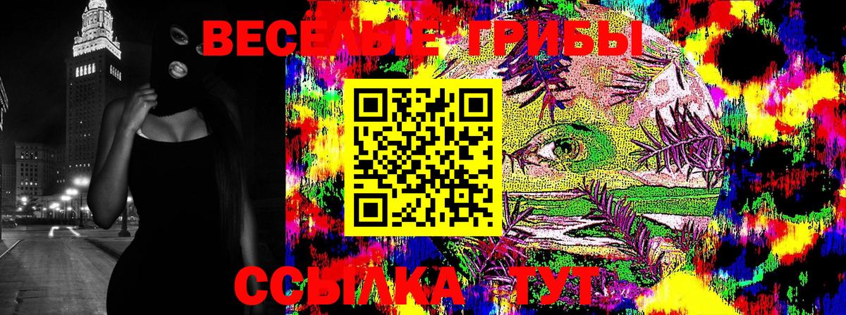 Псилоцибиновые грибы прущие грибы  Вход с VPN  Полысаево  Псилоцибиновые грибы Psilocybine cubensis 
