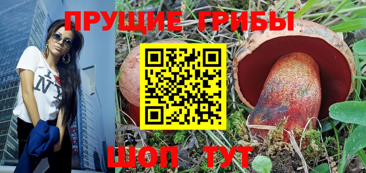 Галлюциногенные грибы Psilocybine cubensis Полысаево