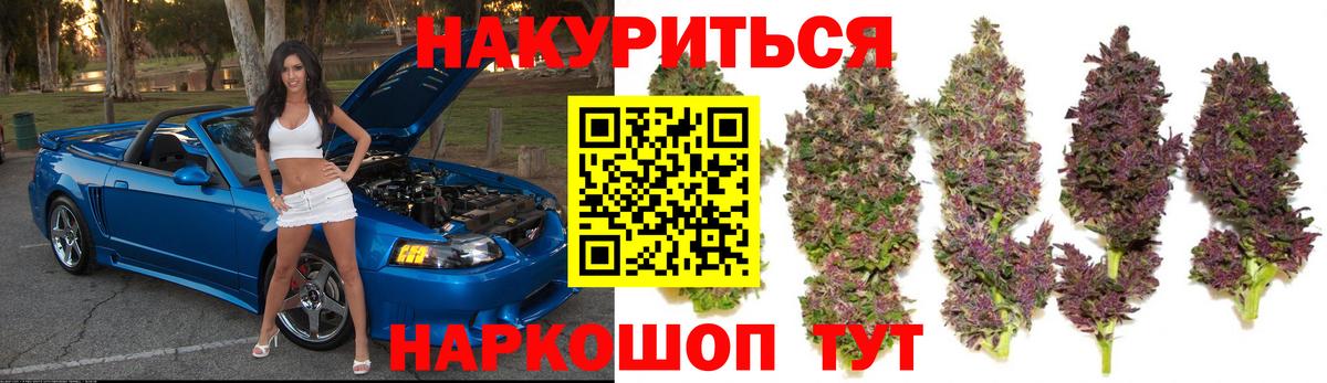Марихуана сатива Полысаево